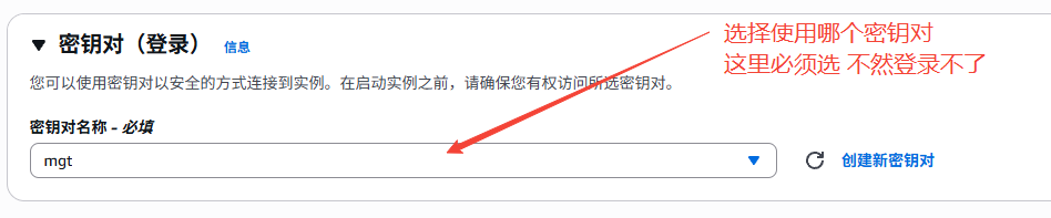 image-20251021141702552